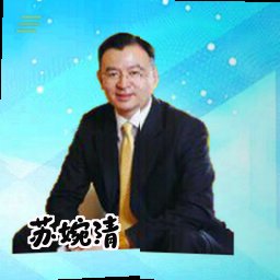 苏婉清